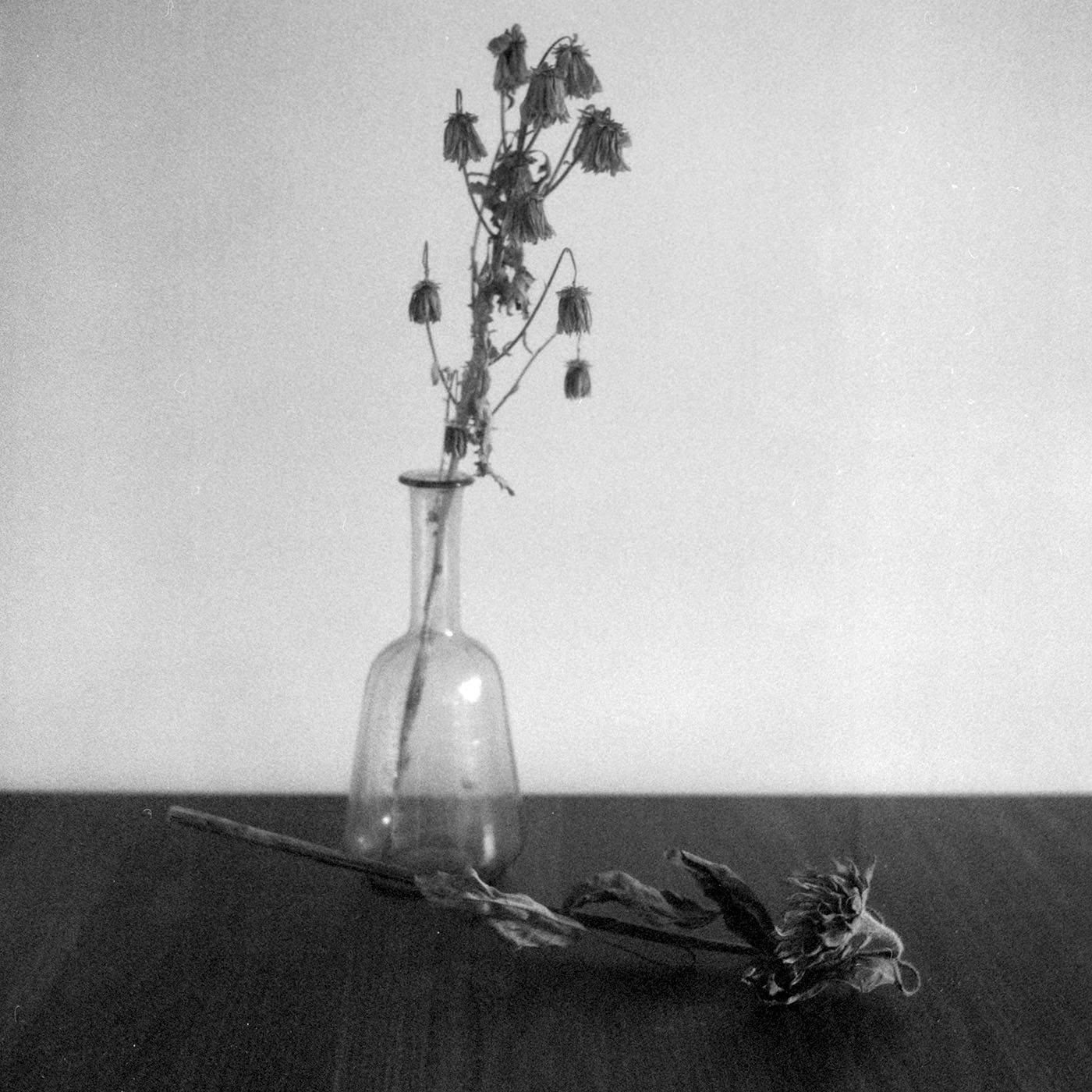 study for “the suitcase”